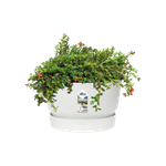 greenville bowl 33cm white